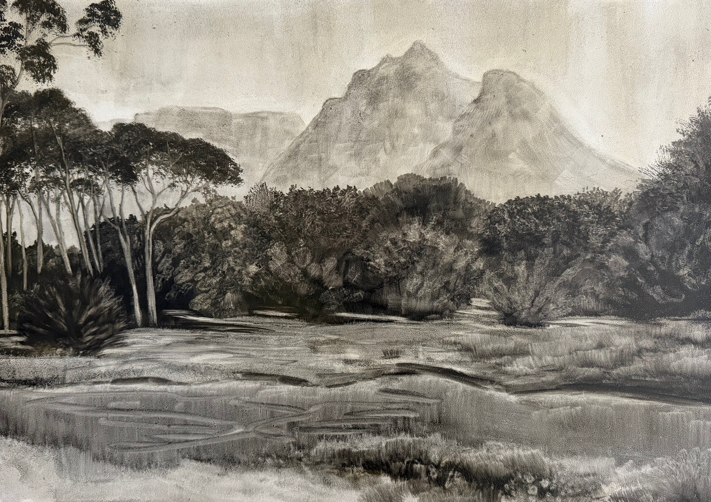 The Wetland