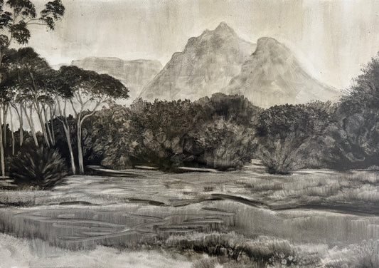The Wetland